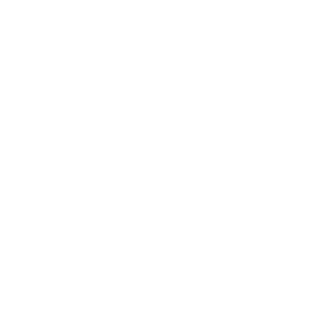 Spaceship